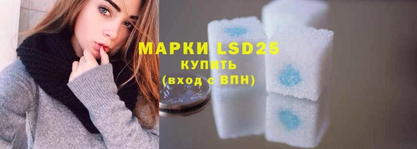 индика Армянск