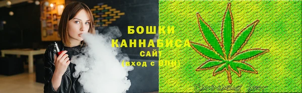 индика Армянск